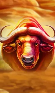 Buffalo Hold and Win Extreme