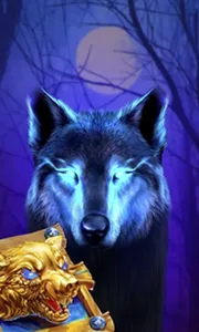 Book Of The Night Wolf